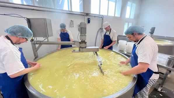 сироварня під ключ