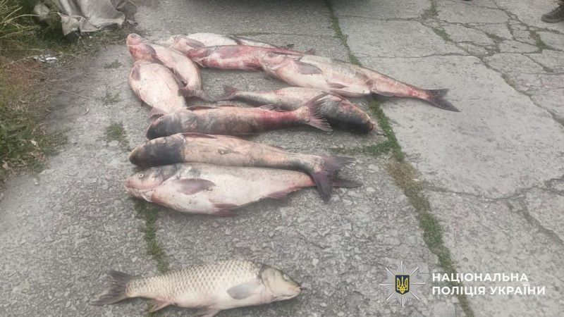 100 кг хабарів: на Полтавщині затримали браконьєрів у заказнику