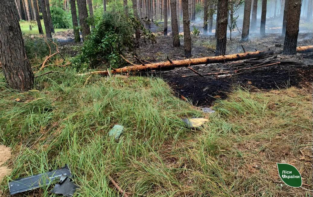 Падіння дрона: Ліквідовано лісову пожежу на Полтавщині