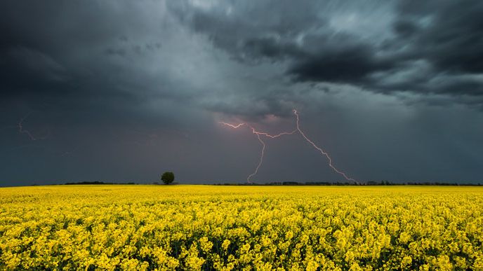 Полтавщина: Штормове попередження!