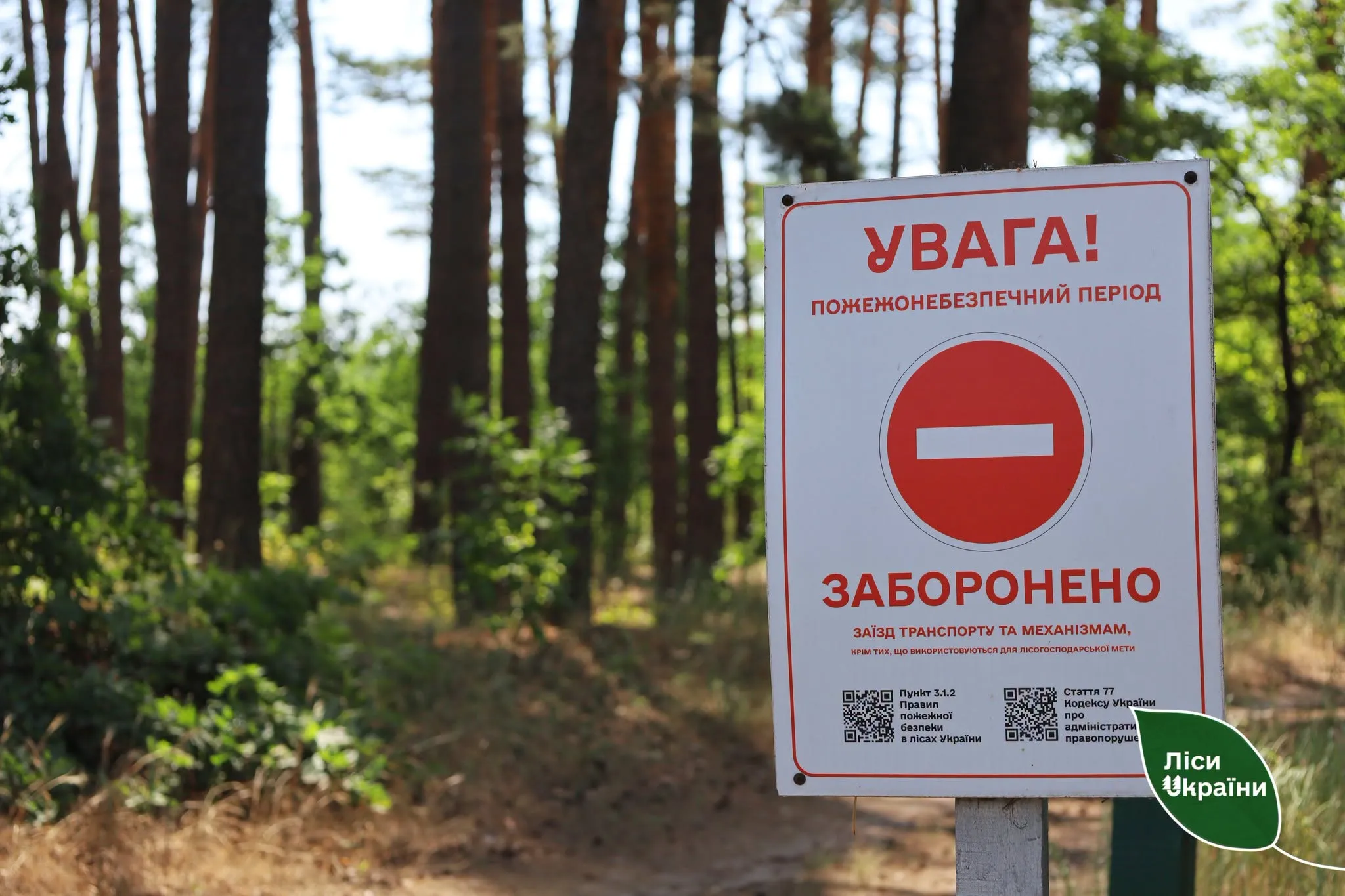 На Полтавщині діє тимчасова заборона на відвідування лісів.