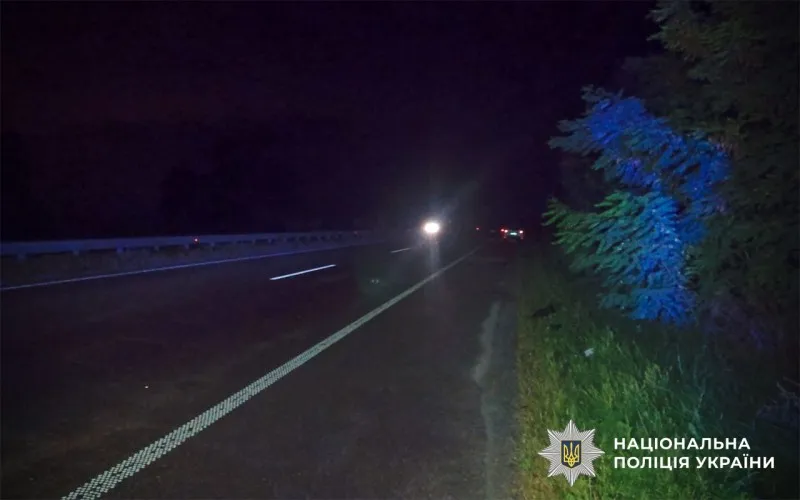 Полтавщина: Автомобіль збив пішохода з собакою.