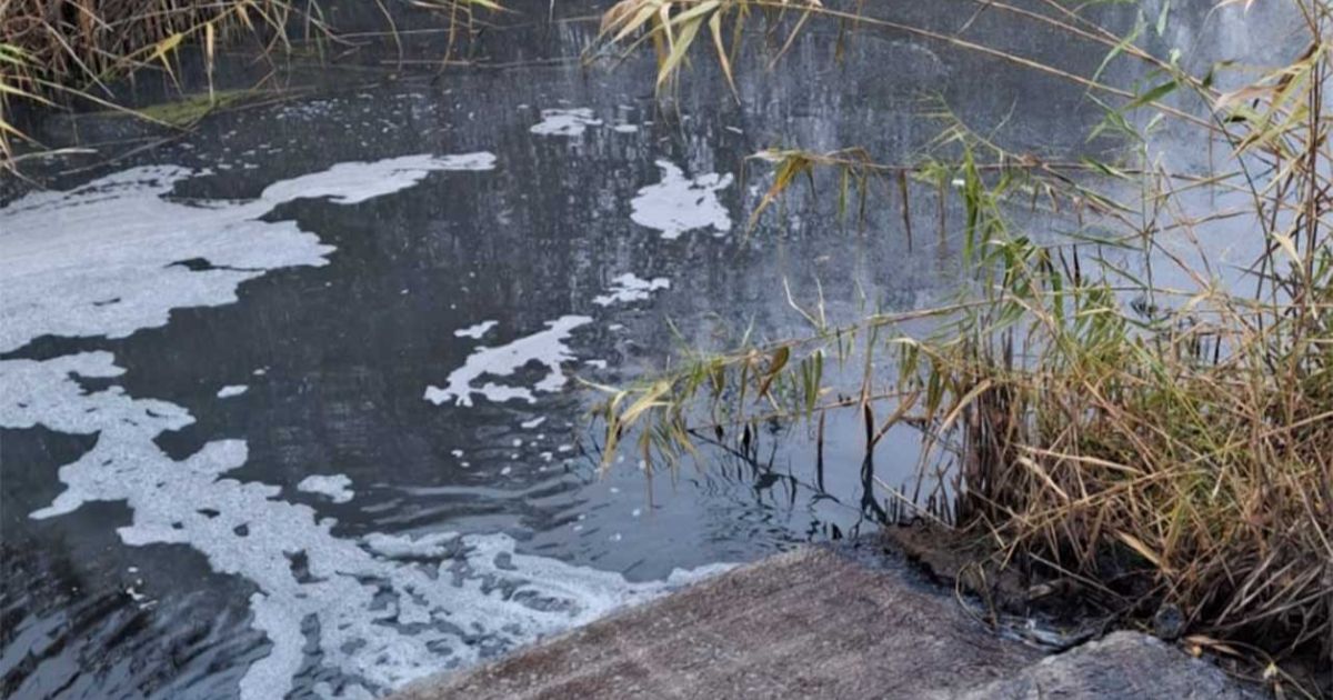 Войниха: мільйонний штраф за екозлочин лубенських комунальників.